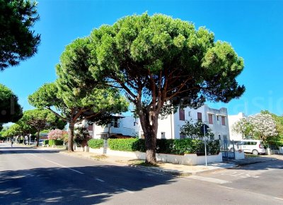Al lido di pomposa affittasi moderno appartamento climatizzato con terrazzo vicino alla spiaggia